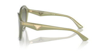 Das Bild zeigt die Sonnenbrille EA4221 61168E von der Marke Emporio Armani in grün.