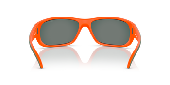 Das Bild zeigt die Sonnenbrille AN4290 29436Q von der Marke Arnette in Grün.