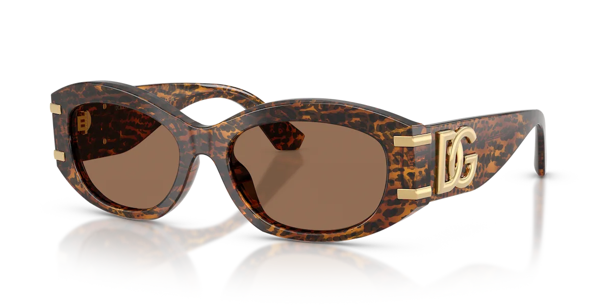 Dolce & Gabbana Sonnenbrille in Leo transparent 0DG4502 347073