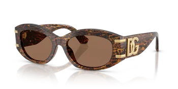 Dolce & Gabbana Sonnenbrille in Leo transparent 0DG4502 347073
