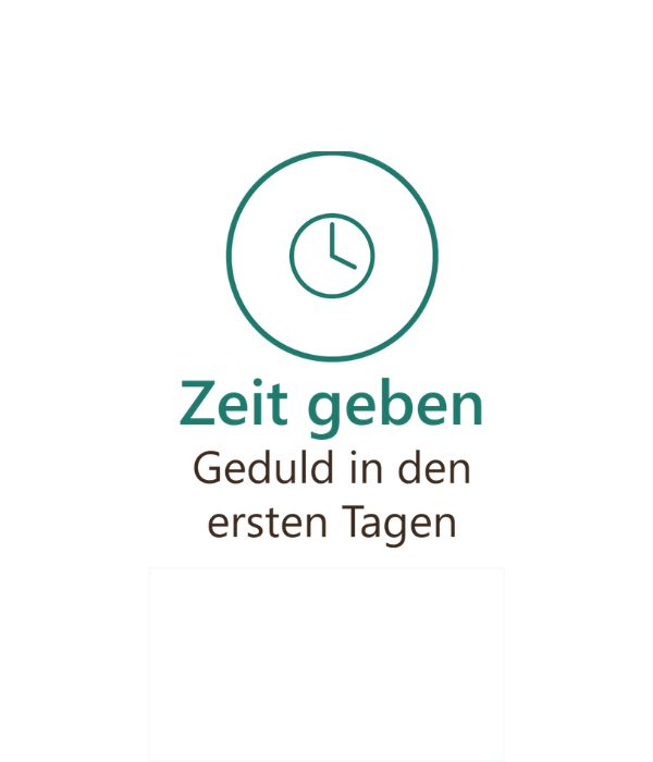 Zu sehen ist eine Infografik mit dem Tipp "Geduld" bei Gleitsichtgläsern.