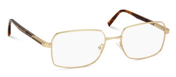 Das Bild zeigt die Korrektionsbrille 5083 von der Marke Flair in der Farbe Gold.