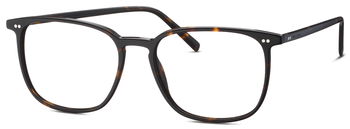 Marc O'POLO Herren Brille 503261 61 in Braun