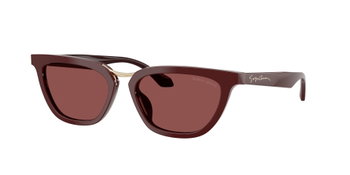 Das Bild zeigt die Giorgio Armani Sonnenbrille AR8253U in Burgunderrot