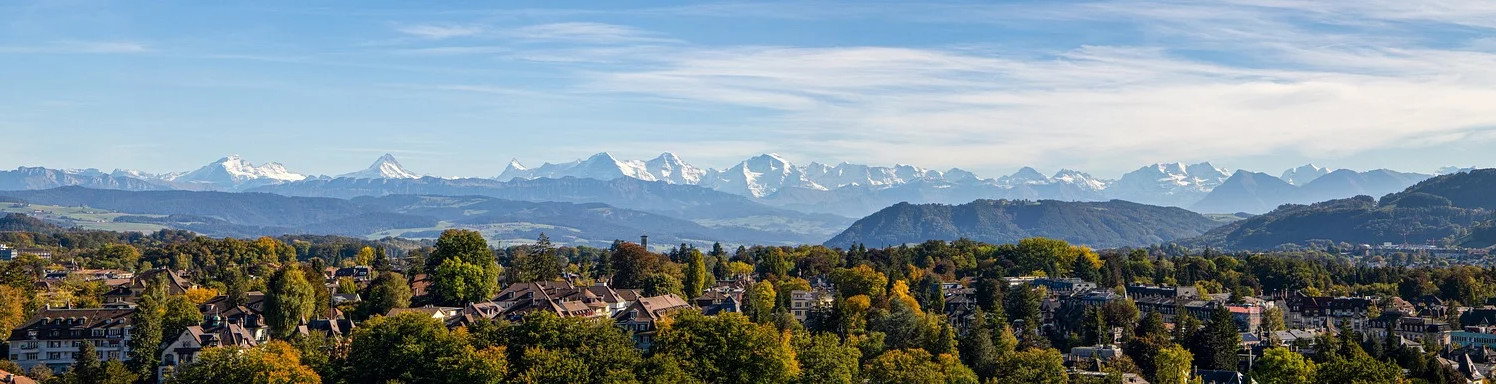 Das Bild zeigt ein Bergpanorama mit einem Wald im Vordergrund.