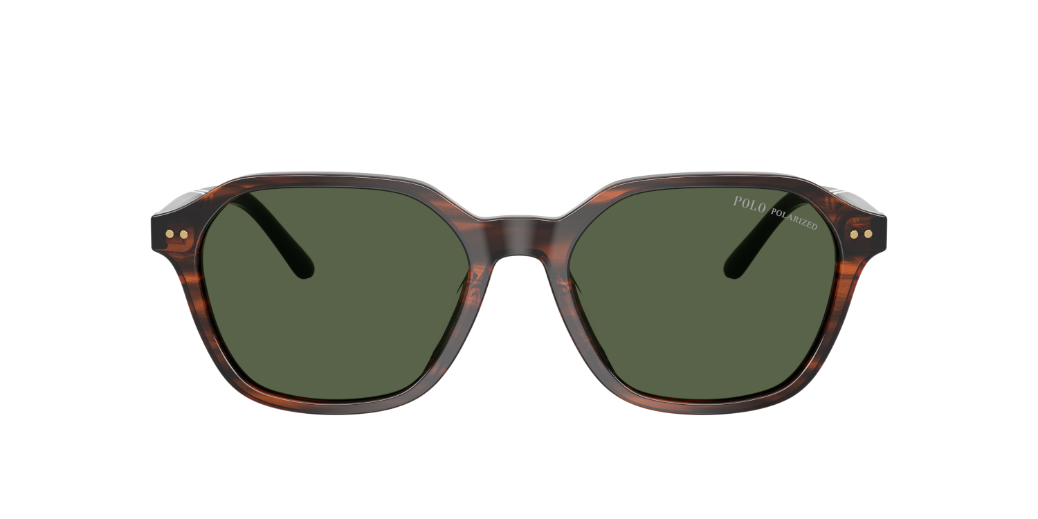Das Bild zeigt die Polo Ralph Lauren Sonnenbrille PH4234 in glänzendem Havana von vorne.