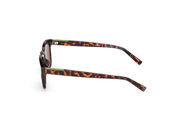 Das Bild zeigt die Sonnenbrille TB00007 von Timberland in der Farbe Braun gemustert.