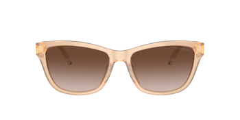 Das Bild zeigt die Sonnenbrille EA4227U 609813 von der Marke Emporio Armani in beige.