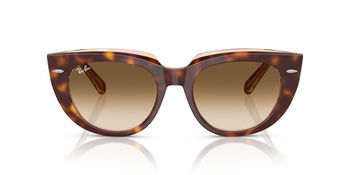 Das Bild zeigt die Sonnenbrille RB2286 141451 von der Marke Ray-Ban in Hellhavanna/transparent.