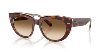 Das Bild zeigt die Sonnenbrille RB2286 141451 von der Marke Ray-Ban in Hellhavanna/transparent.