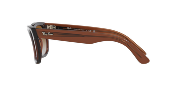 Das Bild zeigt die Sonnenbrille 0RBR0502S 6709CB von der Marke Ray Ban in braun transparent.