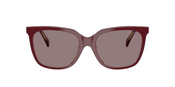 Das Bild zeigt die Ralph Sonnenbrille RA5343U in burgundy transparent von vorne.