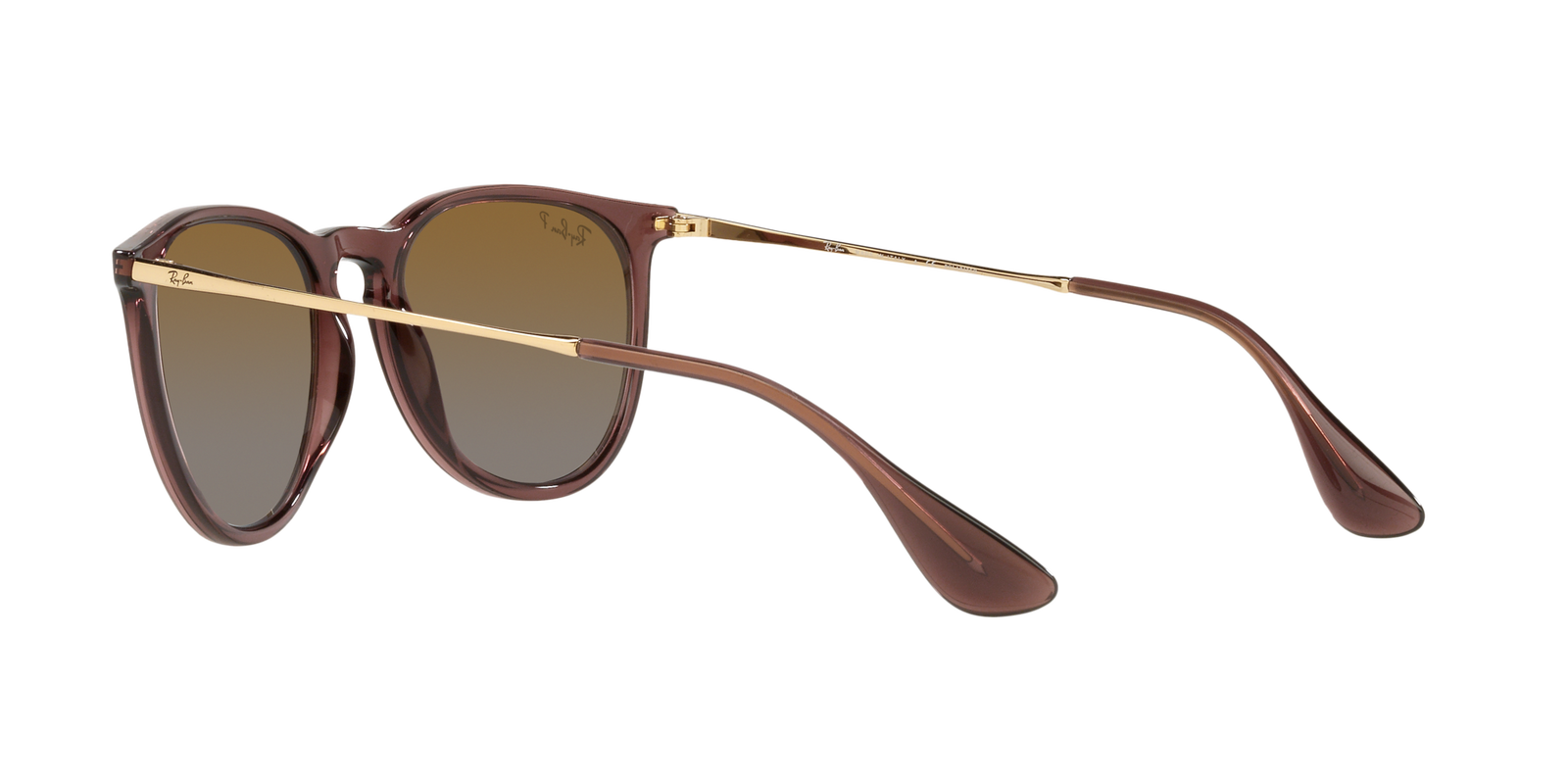 Das Bild zeigt die dunkelbraune Ray Ban Erika leicht schräg von hinten.