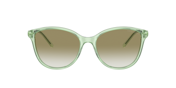 Das Bild zeigt die Sonnenbrille EA4220 61078E von der Marke Emporio Armani in grün.