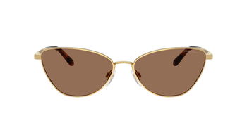 Das Bild zeigt die Ralph Lauren Sonnenbrille RL7093 in Gold von vorne.