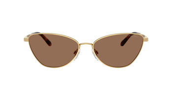Das Bild zeigt die Ralph Lauren Sonnenbrille RL7093 in Gold von vorne.