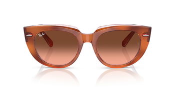 Das Bild zeigt die Sonnenbrille RB2286 1415A5 von der Marke Ray-Ban in Havanna rot transparent.