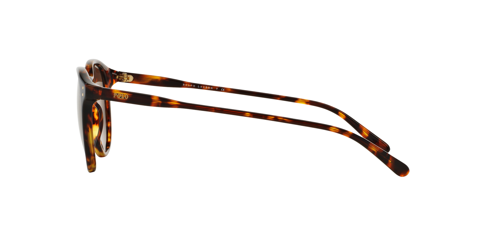 Das Bild zeigt die Browline-Sonnenbrille PH4110 513473 für Herren von der Marke Polo Ralph Lauren in braun havanna seitlich