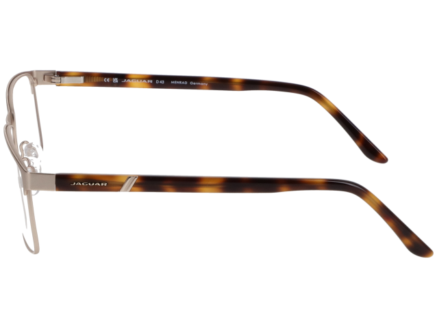 Zu sehen ist eine Brille mit eckigen Gläsern und Hornbügeln