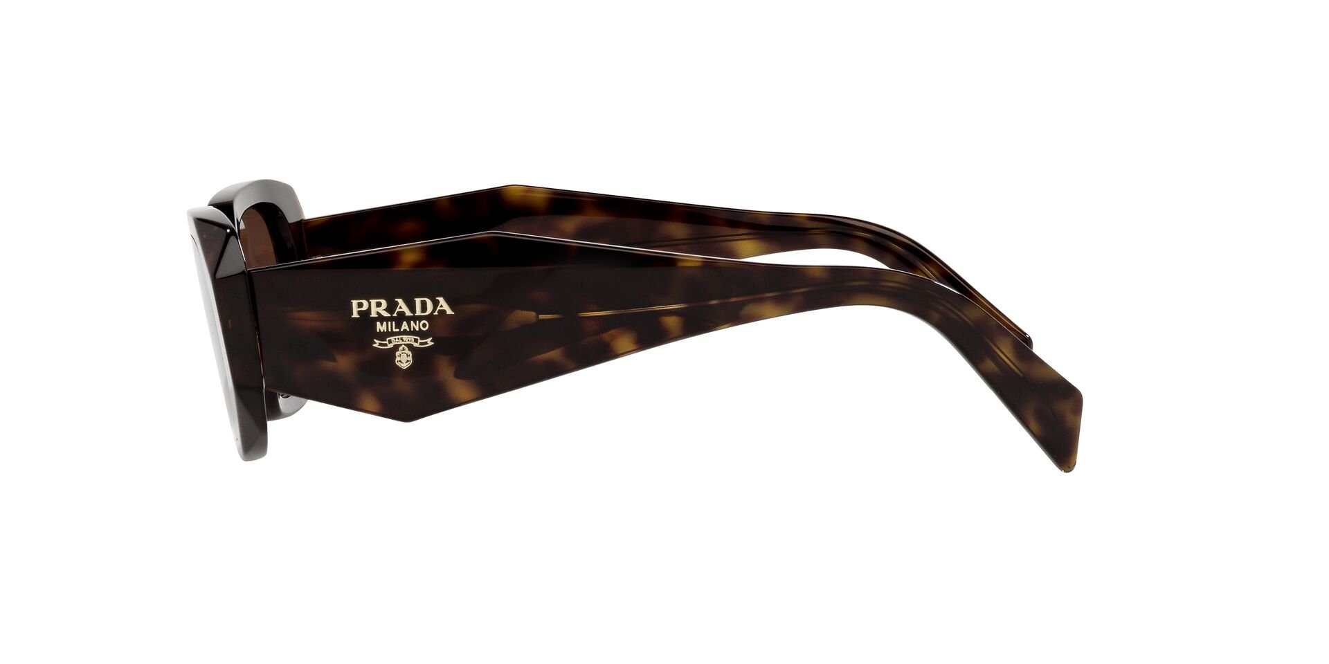 Das Bild zeigt die Sonnenbrille 0PR 17WS 2AU8C1  von der Marke Prada in tortoise.