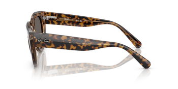 Das Bild zeigt die Sonnenbrille RB2286 1292B1 von der Marke Ray-Ban in Havanna braun transparent.