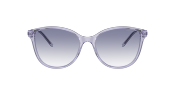Das Bild zeigt die Sonnenbrille EA4220 611179 von der Marke Emporio Armani in flieder.