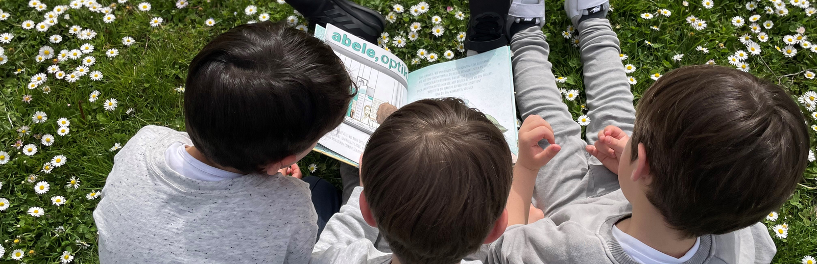 Das Bild zeigt 3 Jungs auf einer Wiesen, die unser Buch lesen.