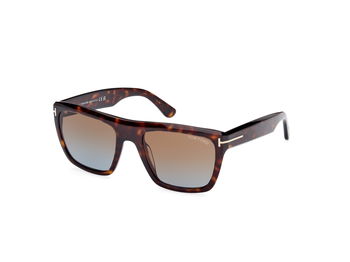  Tom Ford Sonnenbrille Alberto in havanna FT1077 52F