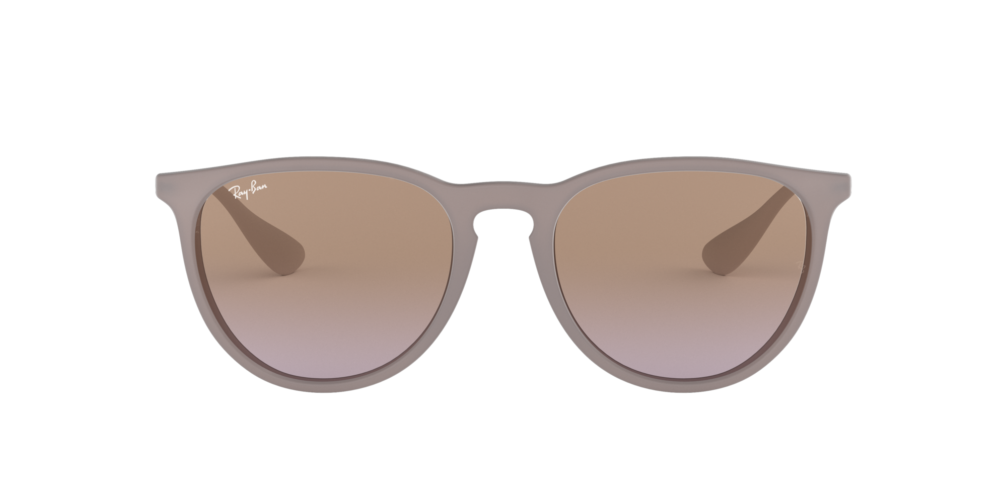 Ray Ban ERIKA Sonnenbrille RB4171 600068 54