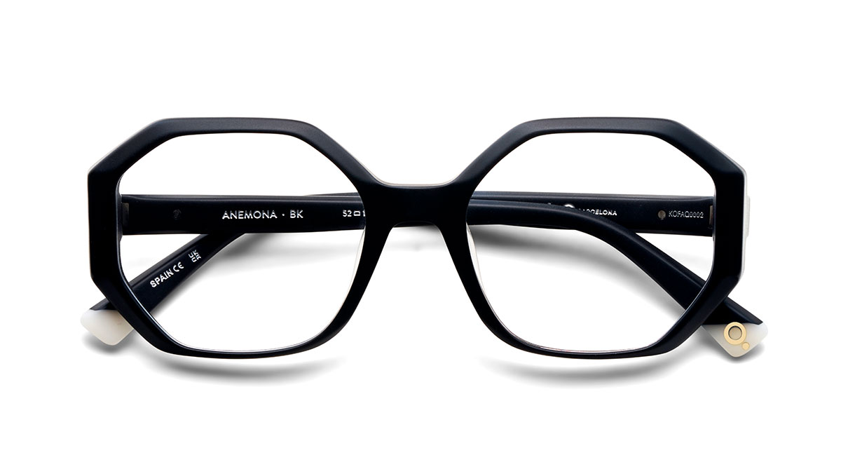 Das Bild zeigt die Korrektionsbrille Anemon BK von der Marke Etnia Barcelona in schwarz.