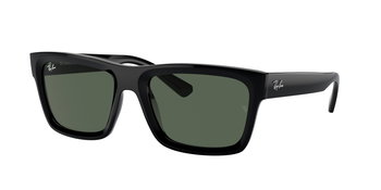 Ray Ban Sonnenbrille in Schwarz 0RB4396 667771 54