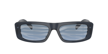 Das Bild zeigt die Sonnenbrille EA4229U 6120AM von der Marke Emporio Armani in blau/zebra.