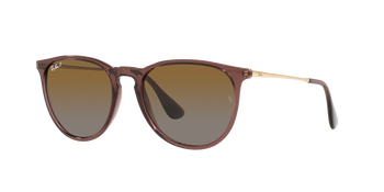 ERIKA Ray Ban Sonnenbrille für Damen in Dunkelbraun/Transparent & Rund RB4171 6593T5 54