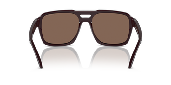 Das Bild zeigt die Sonnenbrille AN4339 294173 von der Marke Arnette in braun.