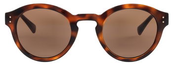 Das Bild zeigt die Sonnenbrille 721591 von der Marke Abele Optik in Havanna.