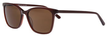 abele optik Sonnenbrille für Damen in braun 148982 Sun Collection