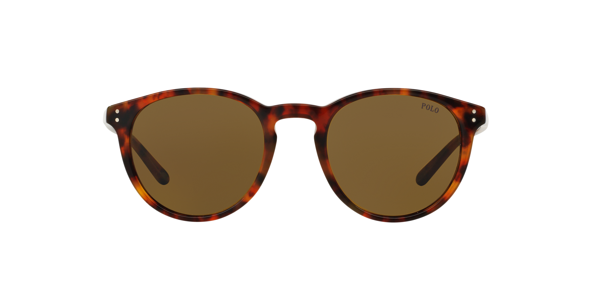 Polo Ralph Lauren Sonnenbrille in havana PH4110 501773