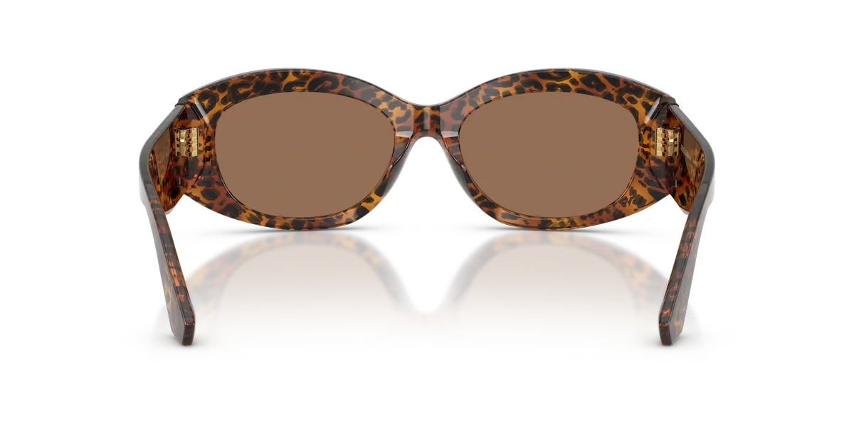 Zu sehen ist die Marken-Sonnenbrille 0DG4502 347073 von Dolce&Gabanna in der Farbe Leo transparent