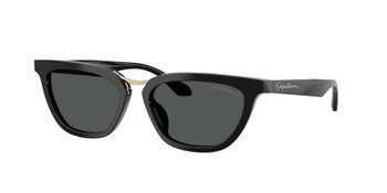 Das Bild zeigt die Giorgio Armani Sonnenbrille AR8253U in Schwarz