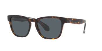 Giorgio Armani Sonnenbrille für Herren AR8155 5879R5 55 in Havanna