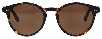 Das Bild zeigt die Sonnenbrille 150862 von der Marke Abele Optik in havanna.