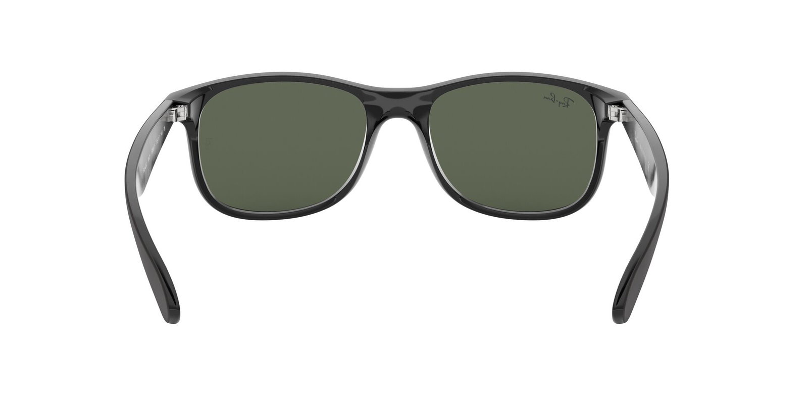 Das Bild zeigt die Sonnenbrille ANDY RB4202 606971 von der Marke Ray-Ban in schwarz matt. von hinten