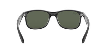 Das Bild zeigt die Sonnenbrille ANDY RB4202 606971 von der Marke Ray-Ban in schwarz matt. von hinten