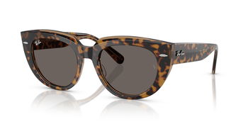 Das Bild zeigt die Sonnenbrille RB2286 1292B1 von der Marke Ray-Ban in Havanna braun transparent.